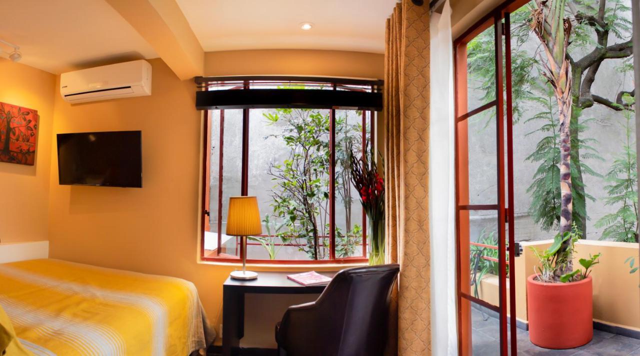 Habitación Individual con terraza
