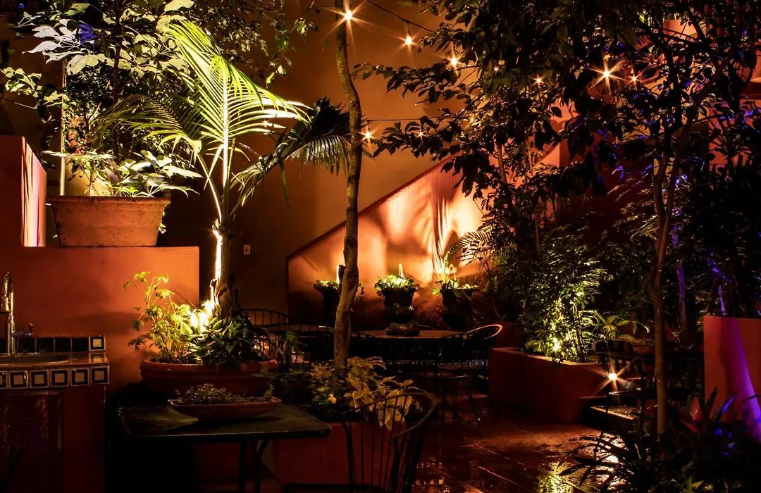 The Red Tree House-1