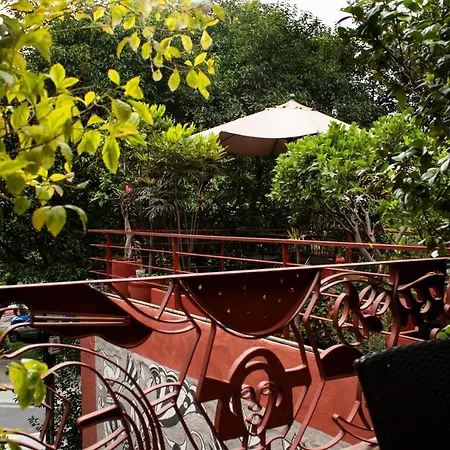 The Red Tree House-3